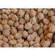 Chickpea